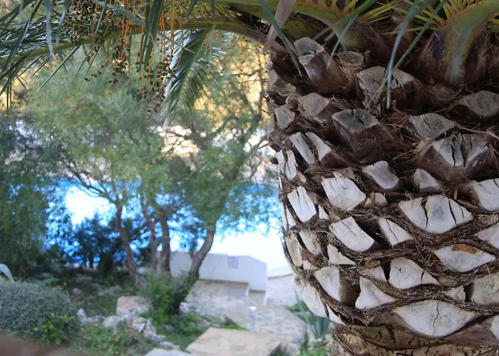 Villetta Son Bou Hébergement de vacances